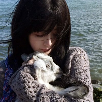 科搜研之女第24季